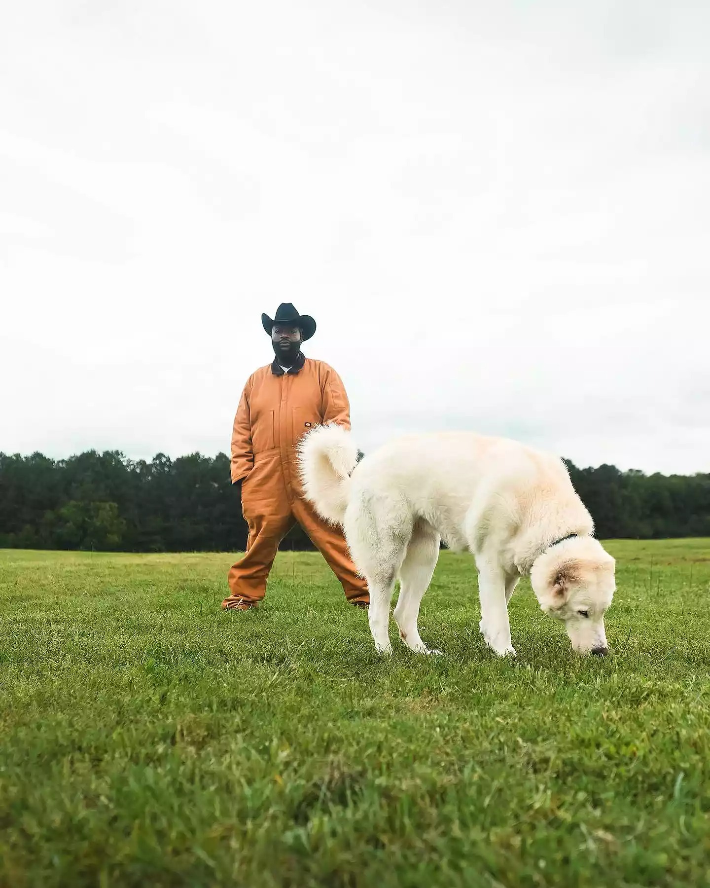 Rick Ross' Unique Journey: From Rapper to Farmer, Raising Cows and Attached to Horses